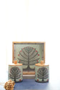 A Tree Of Hope Combo Air Tight Jars & Tray - Green