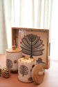 A Tree Of Hope Combo Air Tight Jars & Tray - Ivory Mustard