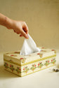 Garden of Flower Buta Tissue Box : Light Green